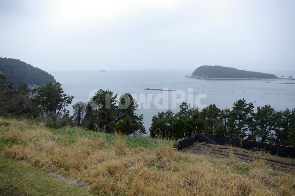 풍경,나무,소나무,식물,plant,자연,nature,섬,바다,자연,풍경,nature,landscape,outdoors,옥외,land,땅,ocean,대양,sea,water,물,shoreline,해안선,coast,연안