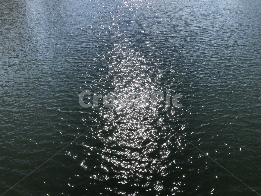 빛,물위,바다,강,빛의반사,자연,풍경,nature,landscape,water,물,outdoors,옥외