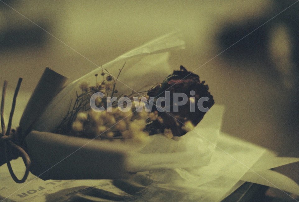 필름카메라,감성,꽃,드라이플라워,장미,꽃,flower,기념일,축하,anniversary,congratulation,celebrate,celebration,감성,sensible,feeling