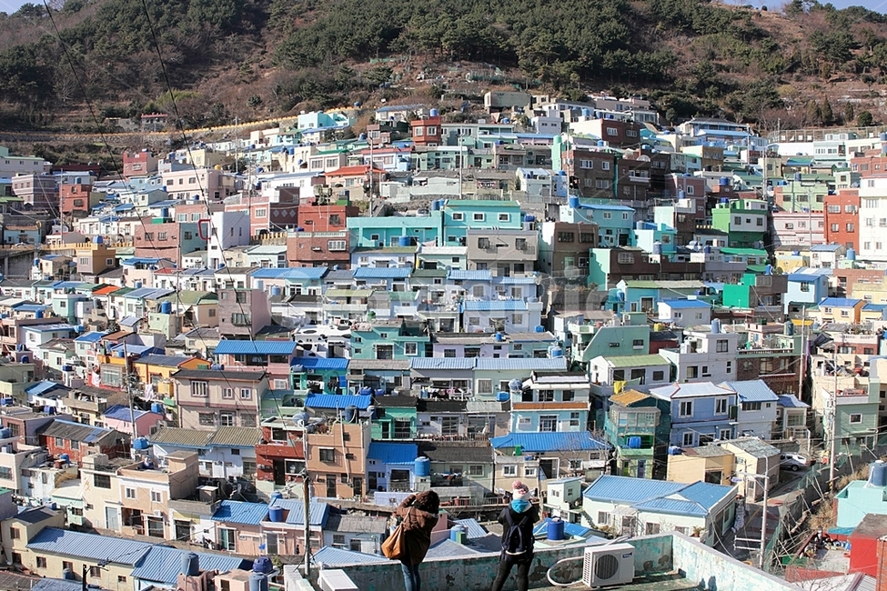 마을,푸른,감천문화마을,파란지붕,달동네