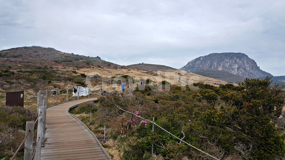 산,nature,자연,outdoors,옥외,산책로
