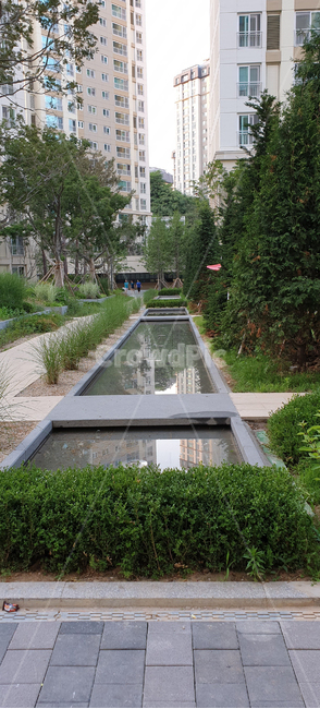 나무,풀,식물,풍경,조경,빌딩,건물,아파트,tree,plant,building,landscaping,apartment,apartmentview