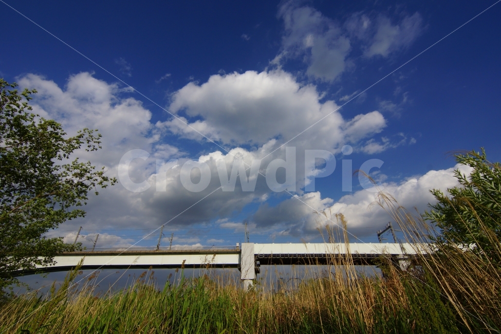 구름,당산철교,비온후,뱀모양,푸른하늘,자연,풍경,nature,landscape,grass,잔디,plant,식물,weather,날씨,outdoors,옥외