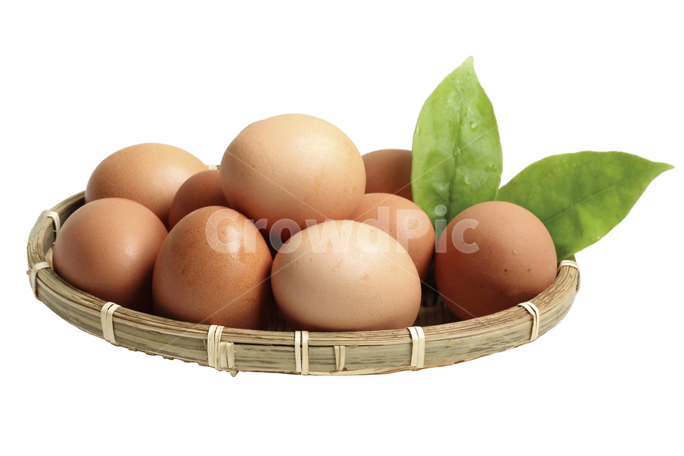 egg package,egg,still life,egg basket