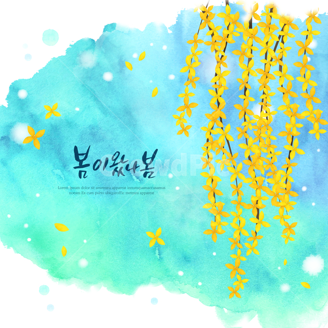 개나리,꽃,감성,봄,캘리,캘리그라피,손글씨,펜글씨,수채화,프레임,봄,계절,spring,season,식물,자연,plants,nature,꽃,flower,색깔,색상,색채,색감,color sense,color sensitivity,feeling of color,그래픽,일러스트레이션,graphic,illustration,캘리그라피,손글씨,calligraphy,paper,종이