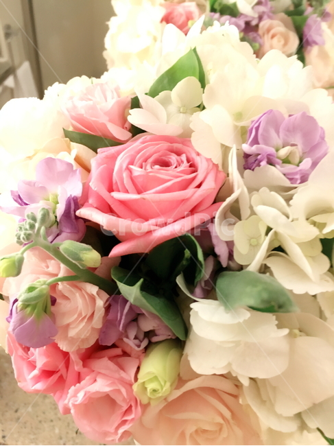 꽃,플라워,꽃다발,부케,장미,flower,bouquet,rose,이벤트,event,서프라이즈,surprise,컬러풀,colorful,생일,birthday,축하,파티,party,선물,present,따뜻한,부드러운,감성적인,신부