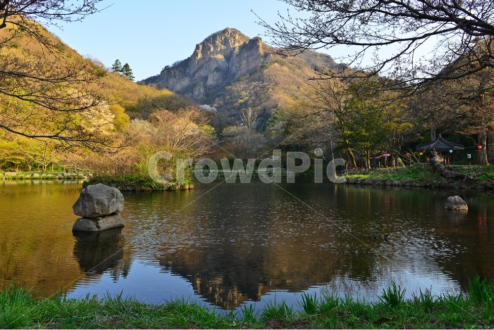 water,물,plant,식물,asphalt,nature,자연,outdoors,옥외,경치,경관,풍경,장성,백양사,백양사봄,봄,계절,연못,반영,벡학봉