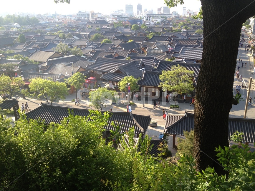 한옥,자연,경치,풍경,한옥마을,한국전통,한국문화,korean traditional,korean culture