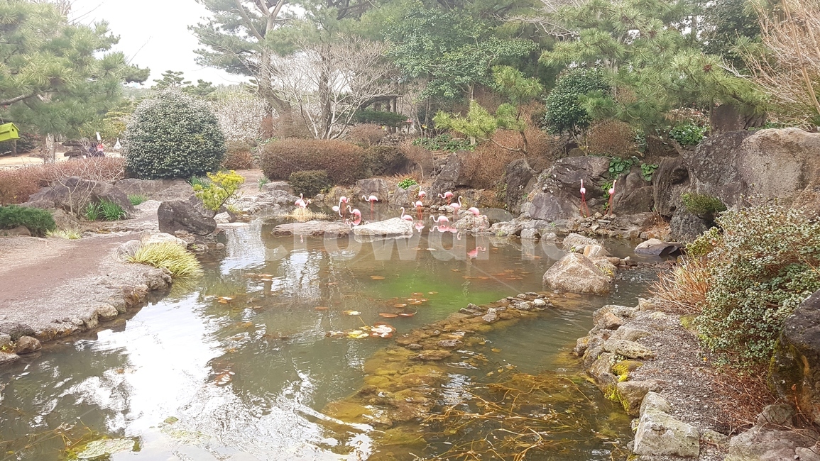 water,자연,돌,풍경,제주도