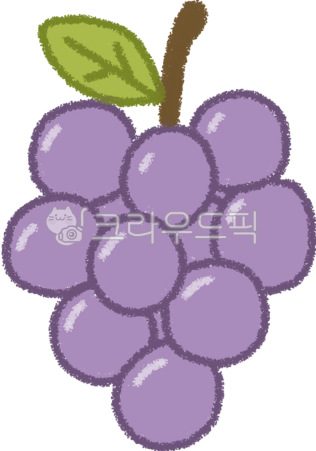 포도,과일,보라색,포도송이,여름과일,디저트,음식,일러스트,손그림,신선한,달콤한,알갱이,잎사귀,귀여운,비타민