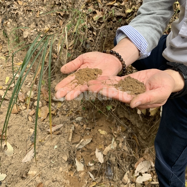soil,흙,ground,바닥,유기물층,토양층