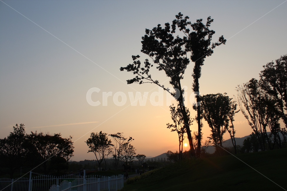 석양,노을,선셋,나무,실루엣,nature,sunset,tree,일몰,자연,풍경,nature,landscape,outdoors,옥외