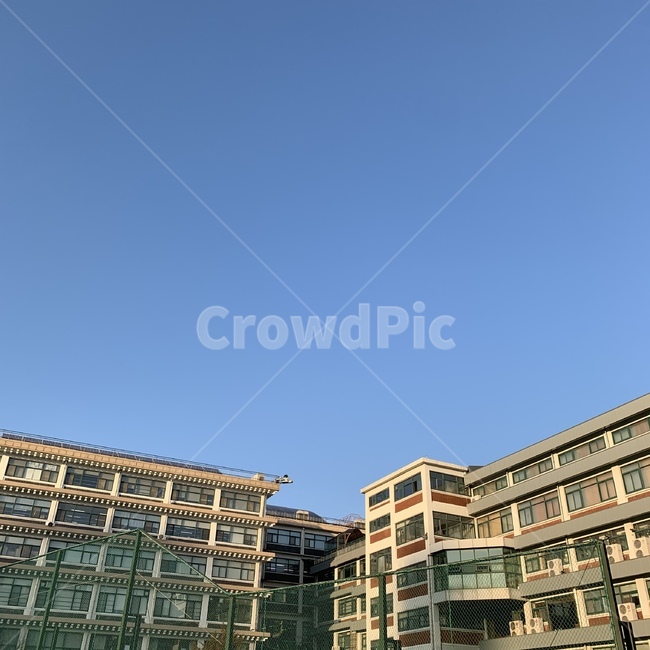 하늘,건물,학교,날씨,맑음