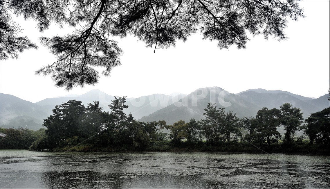 풍경,나무,호수,자연,산,자연,풍경,nature,landscape,한국자연풍경,한국자연경관,korea nature landscape,outdoors,옥외,plant,식물,vegetation,초목,land,땅,tree,water,물