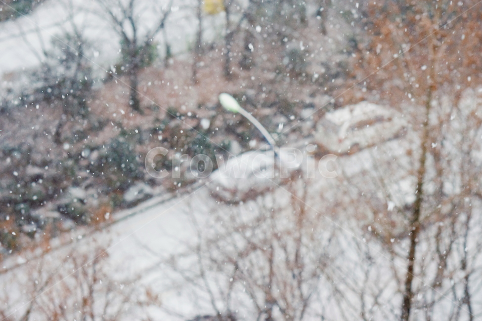 눈,snow,겨울,winter,눈보라,blizzard,nature,자연,겨울,계절,winter,season
