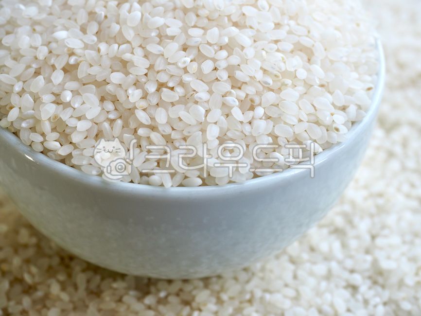 음식,쌀,흰쌀,배경,아시아음식,곡식,음식재료,웰빙,웰빙음식,식사,food,rice,whiterice,background,asianfood,grain,foodingredients,wellbeing,wellbeingfood,meal,유기농,유기농쌀,organic,organicrice