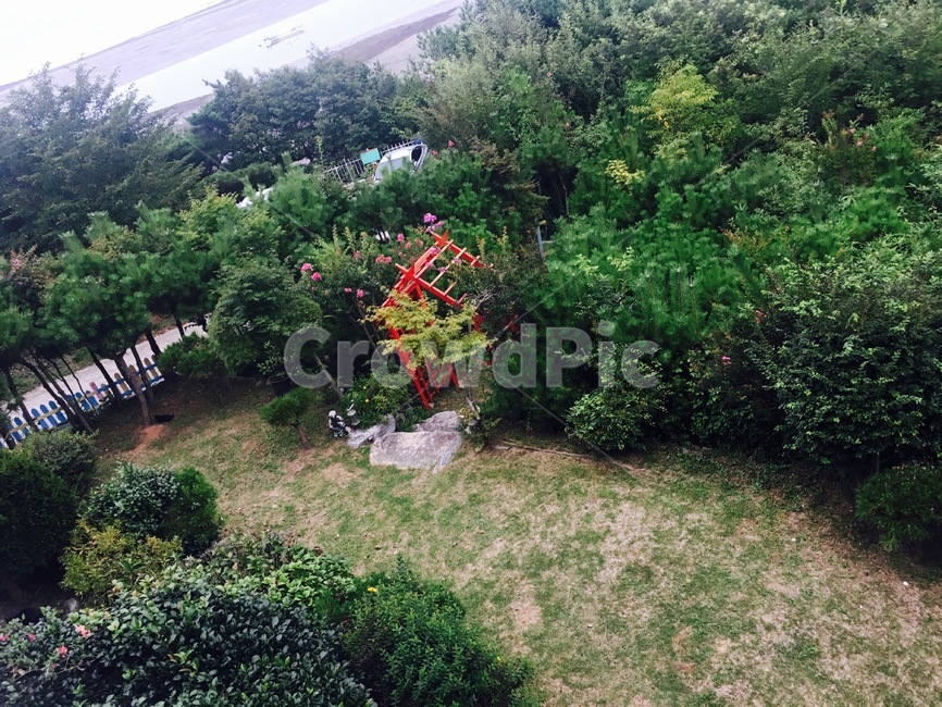 정원,나무,풀,나무길,펜션,전망