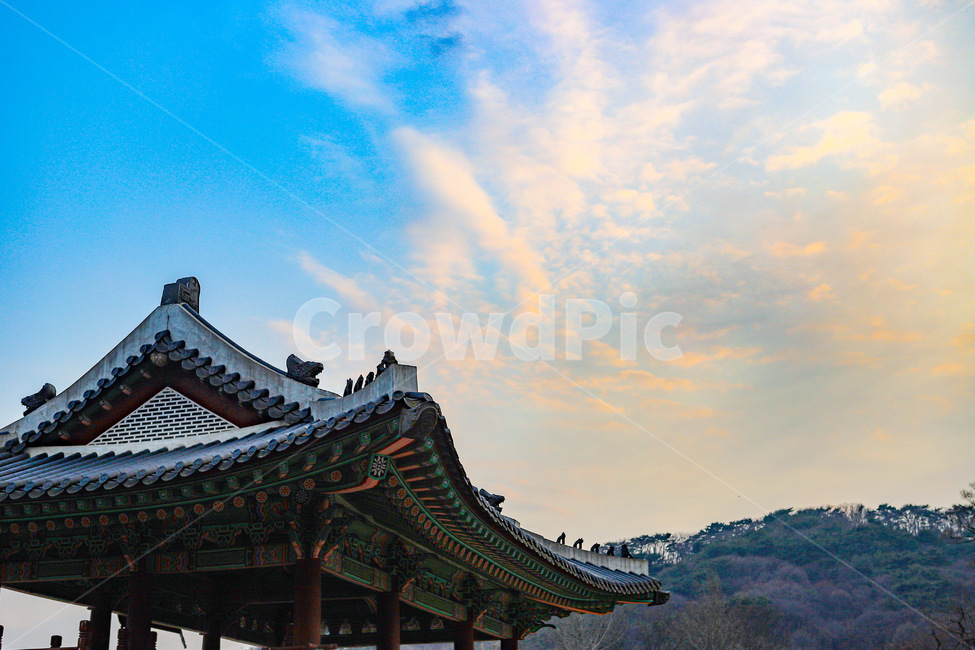 신전,건물,건축물,옥외,야외,한국전통,한국문화,korean traditional,korean culture,건축물,건물외관,exterior,building,structure,architecture,construction