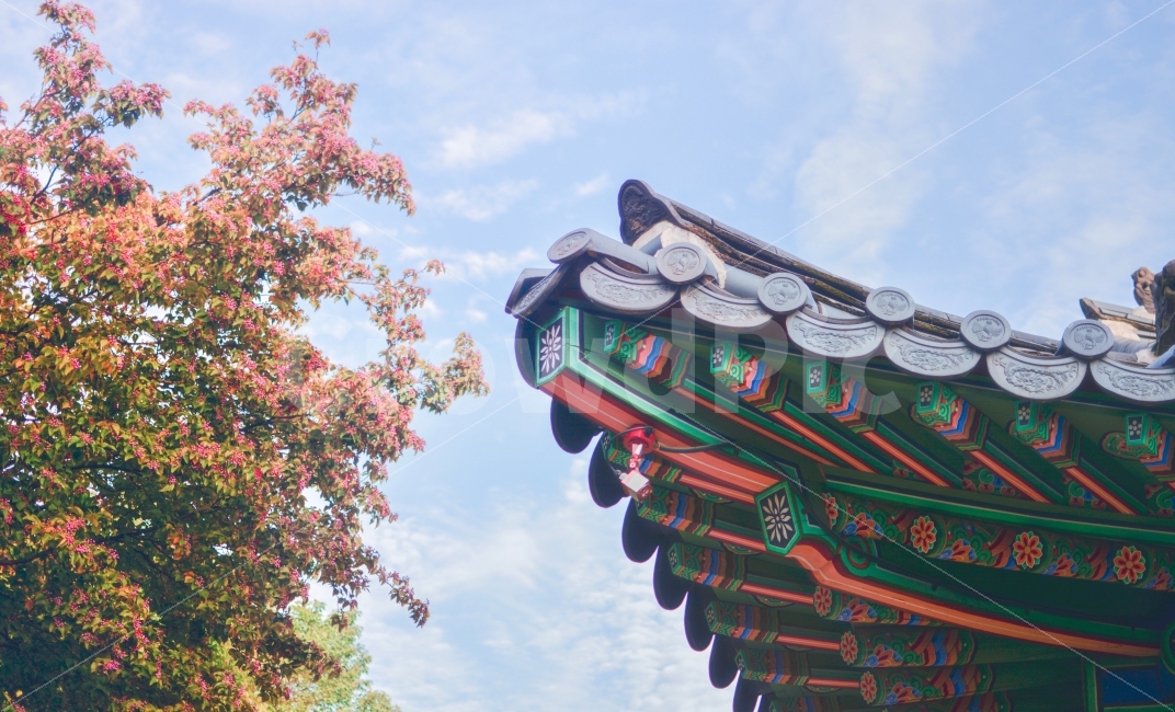 덕수궁,서울,여행,궁,고궁,기와,궁전,건축,경운궁,처마,단청,한옥,deoksugungpalace,deoksugung,palace,seoul,korea,koreatraditional,traditional,architecture,rooftile,ancient,eaves,dancheong,koreantraditionalpaintwork,travel,trip,한국전통,한국문화,korean traditional,korean culture,감성,sensible,feeling,건축물,건물외관,exterior,building,structure,architecture,construction