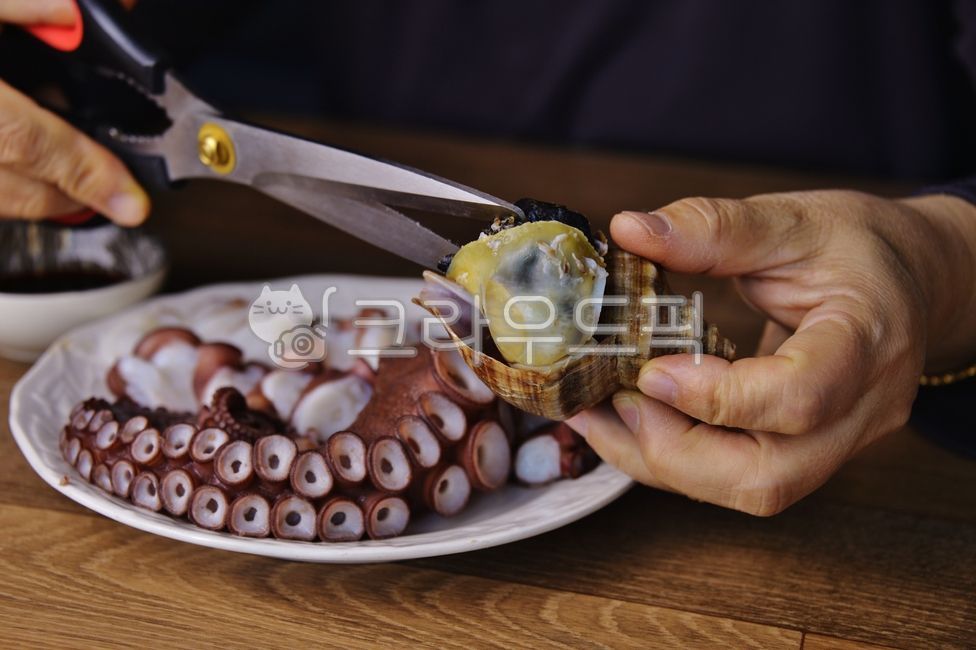 문어,숙회,바다생물,음식,먹거리,문어회,돌문어,자숙문어,문어숙회,연체동물,가위,식재료,문어다리,고동,사람,human,인간,음식,식재료,요리,food,cook,meal,dishes,food reserves