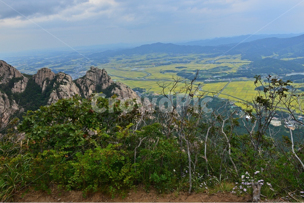 cliff,낭떠러지,nature,자연,outdoors,옥외,mountainrange,산맥,mountain,산,slope,경사,scenery,풍경,landscape,경치,영암,월출산,공원,국립공원,들녁,영암들녁,농사,농업,농경지,경작
