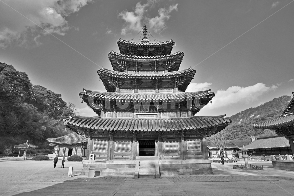 팔상전,국보제55호,목조탑,5층,법주사,보은,속리산,팔상도,고건축,흑백,한국전통,한국문화,korean traditional,korean culture,종교,신앙,religion,belief,faith,흑백,모노톤,monochrome,black and white,건축물,건물외관,exterior,building,structure,architecture,construction