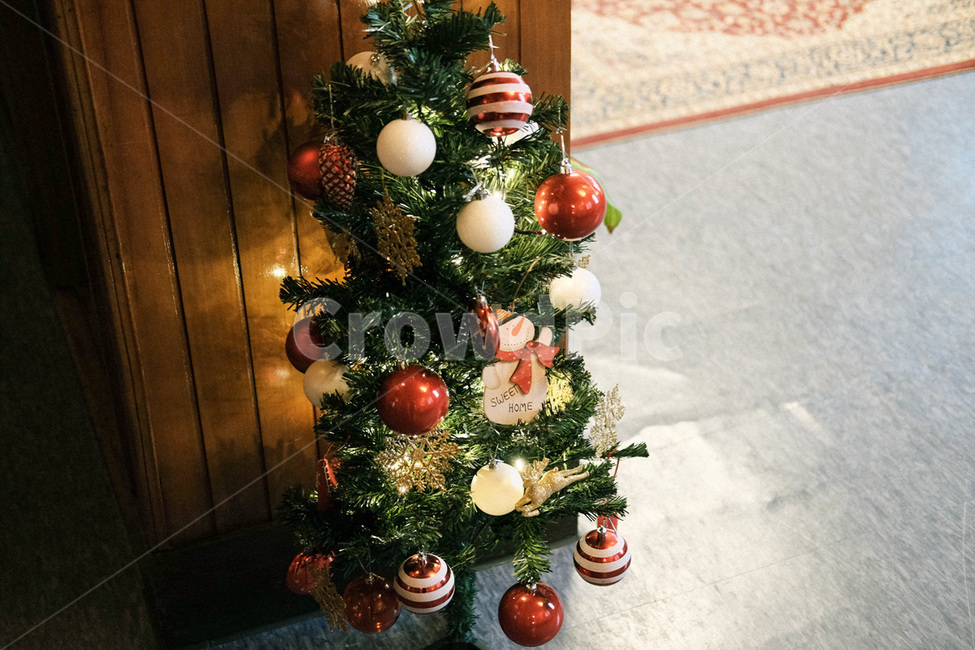 크리스마스,트리,크리스마스트리,장식,소품,12월,christmas,christmastree,december,겨울,계절,winter,season,기념일,축하,anniversary,congratulation,celebrate,celebration,메리크리스마스,성탄절,merry christmas,인테리어,실내디자인,interior design