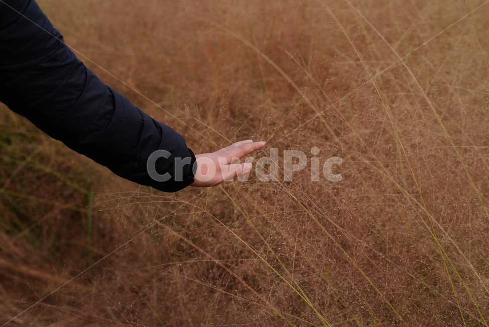 person,사람,human,인간,손,식물,hand,잎,식물,자연,plants,nature,신체일부,몸,body