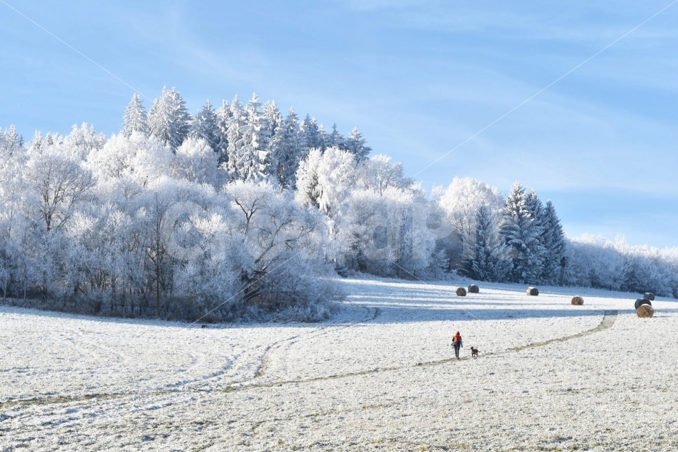 눈,설산,설경,산,겨울,흰색,나무,하늘,snow,mountain,winter,자연,풍경,nature,landscape,겨울,계절,winter,season,outdoors,옥외,frost,서리