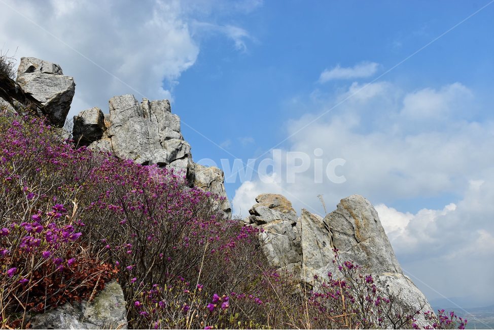 주작산,덕룡산,종주,진달래,풍경,기암,바위,비경,봄풍경,진달래꽃,강진,명산,산행,등산,마운틴,힐링,mountain,landscape,자연,natural,봄,계절,spring,season,자연,풍경,nature,landscape,한국자연풍경,한국자연경관,korea nature landscape,outdoors,옥외