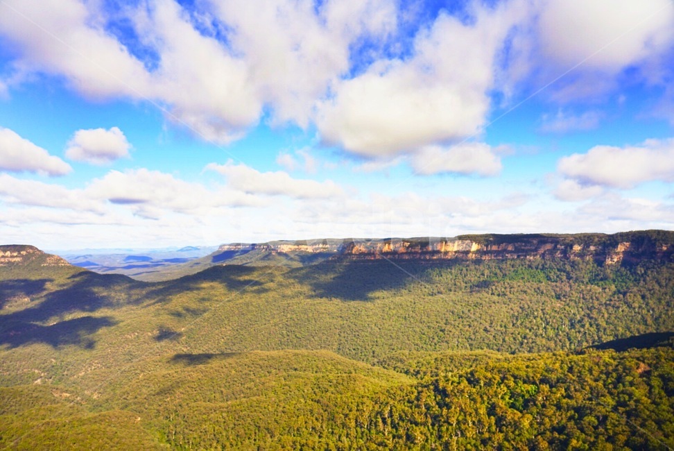 nature,식물,bush,자연,outdoors,부시,vegetation,옥외,plant,초목,호주,australia,카툼바,katoomba