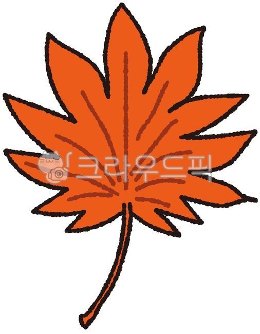 Maple leaves,autumn,fallen leaves,red maple leaves,maple tree,maple festival,maple illustration,maple play