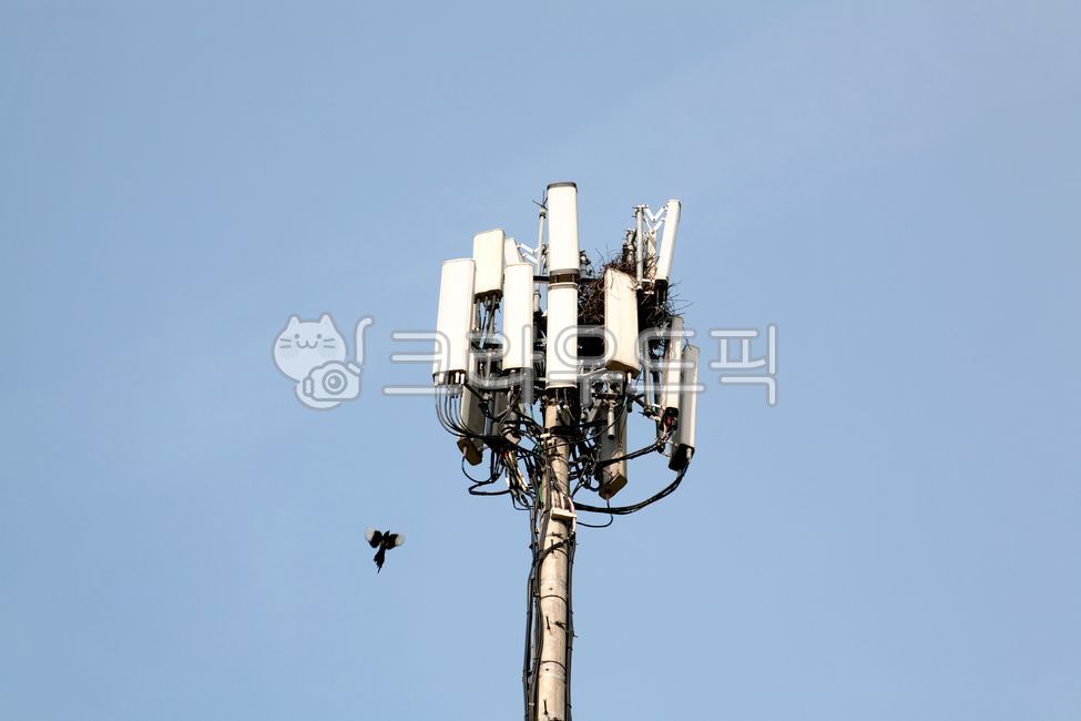 Base station,communication,magpie,birdhouse,magpie house,ecology,environment