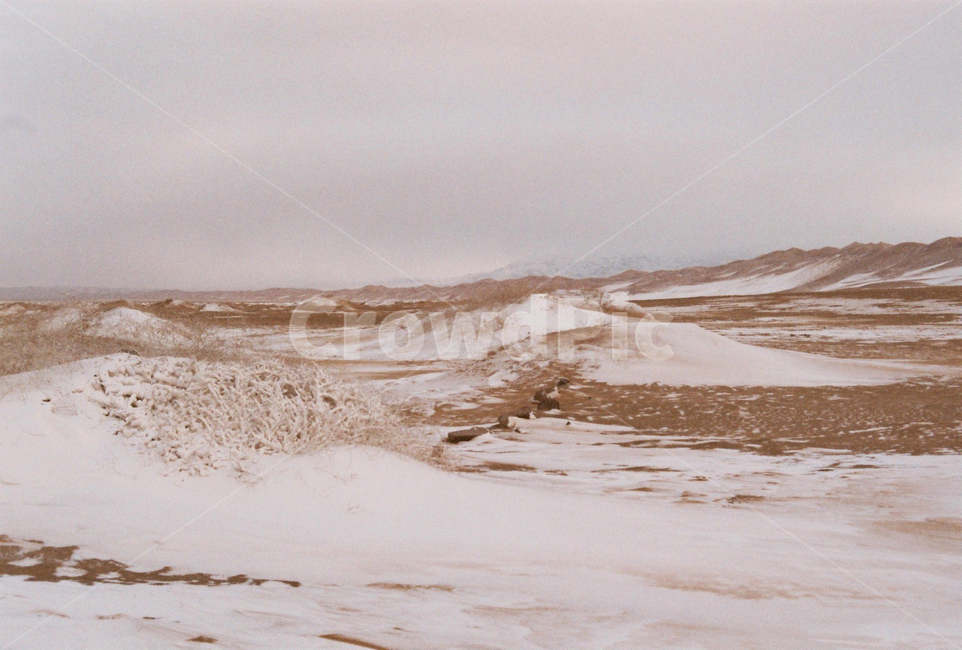 몽골,자연,모래,모래사막,고비사막,사막,눈보라,겨울,snow,자연,풍경,nature,landscape,해외,외국,세계,foreign,oversea,world,세계자연풍경,해외자연풍경,외국자연풍경,world nature landscape