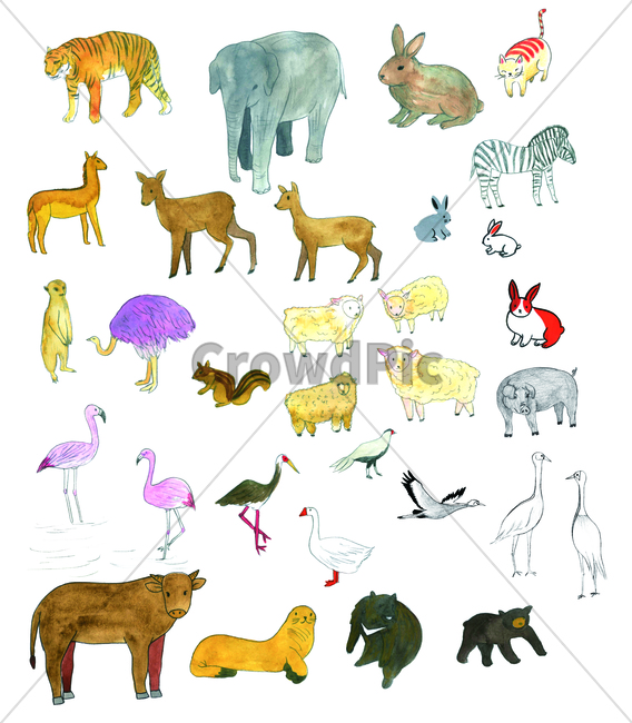 손그림,물감그림,handdrawing,watercolor,동물,animal,홍학,flamingo,코끼리,elephant,양,sheep,토끼,rabbit