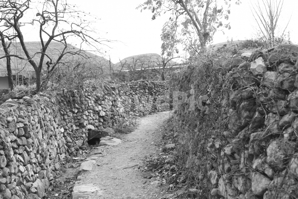 시골,돌담,가을,외로움,고즈넉,시골,마을,풍경,landscape,country,rural,town,한국전통,한국문화,korean traditional,korean culture,흑백,모노톤,monochrome,black and white