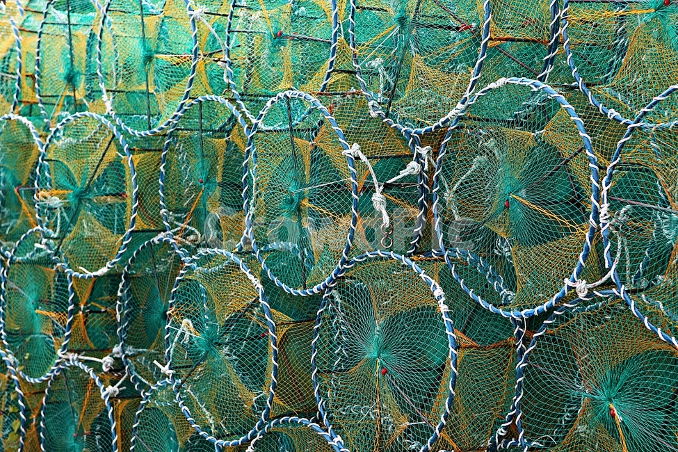 통발,그물,고기잡이,어부,바다,사물,산업,industry,industrial,어업,fishery,fishing industry