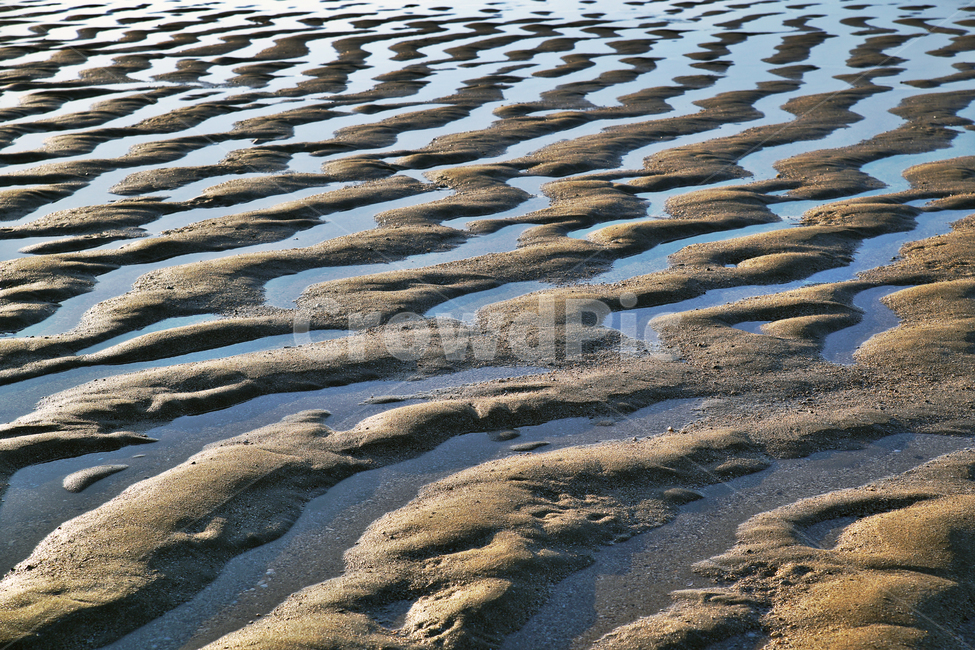 선재도,모래톱,서해,인천,옹진군,섬,갯벌,썰물,바다,패턴,해변,바다,beach,sea