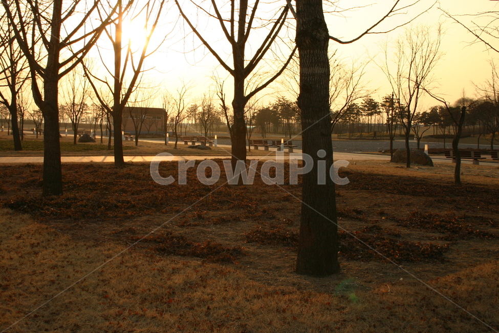 노을,석양,일몰,공원,한적,풍경,금빛,evening,glow,gold,golden,landscape,nature,orange,outdoor,peaceful,redsky,scenery,sky,sun,sunsets