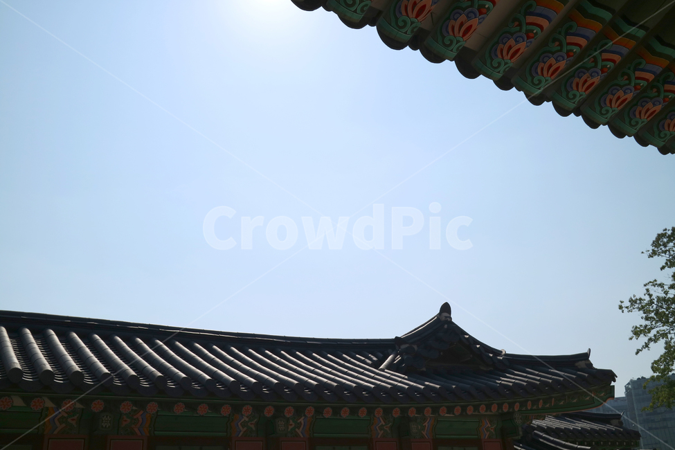 고궁,궁전,한국전통,한국,건축,건물,동양건축,전통가옥,한옥,한국의고궁,문화재,대한민국,전통,민속,처마,지붕,한국전통,한국문화,korean traditional,korean culture,건축물,건물외관,exterior,building,structure,architecture,construction