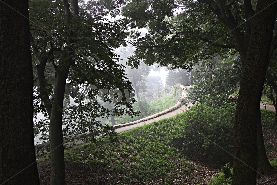 공주산성,산성,성,성곽,길,둘레길,숲,숲길,안개,돌담,담,여름,풍경,벽,방어벽,흙담,나무,식물,유네스코등제
