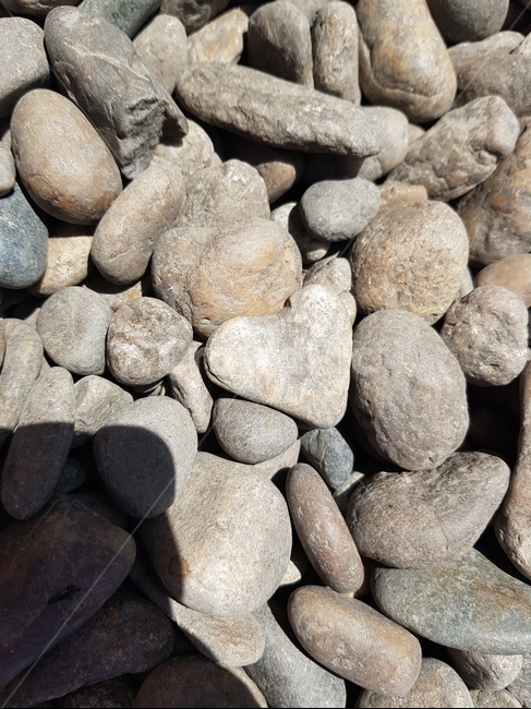 자갈,하트,그림자,돌,하트모양,하트모양돌,하트모양자갈
