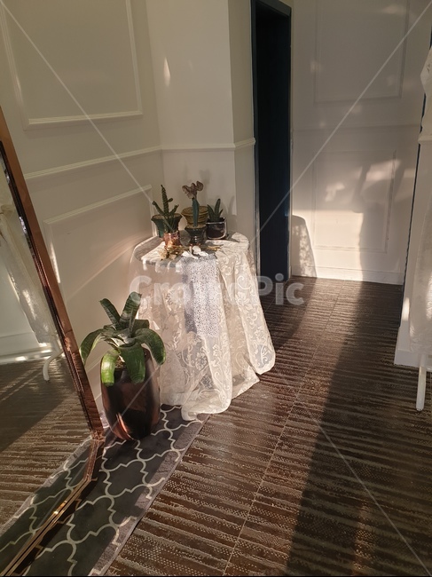 테이블,인테리어,카페,화분,실내,인테리어,실내디자인,interior design