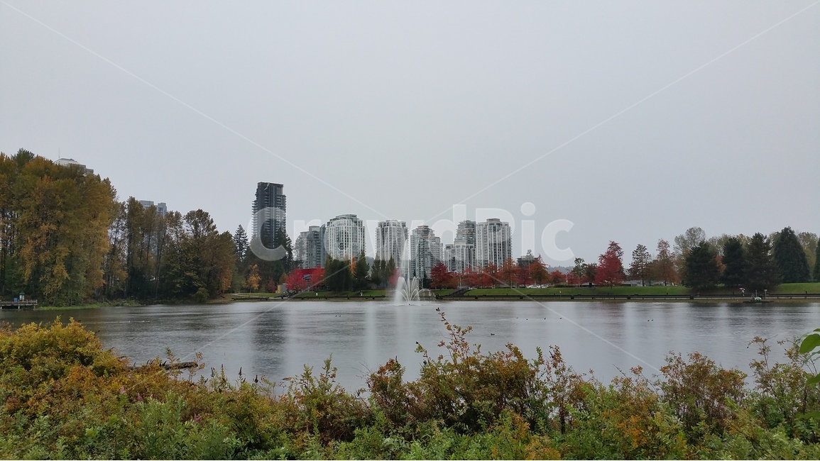 호수,하늘,풍경,도시,나무,도시,풍경,city,landscape,water,물,outdoors,옥외,nature,자연