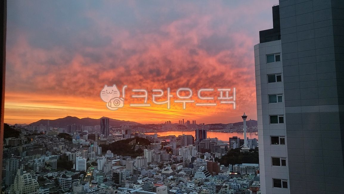 하늘,도시풍경,구름,일출,아침