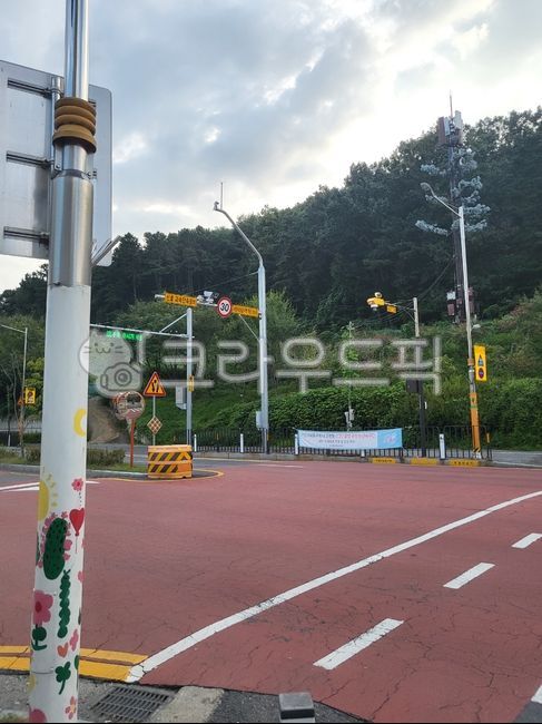 protected area,road,nature,children,intersection,road name