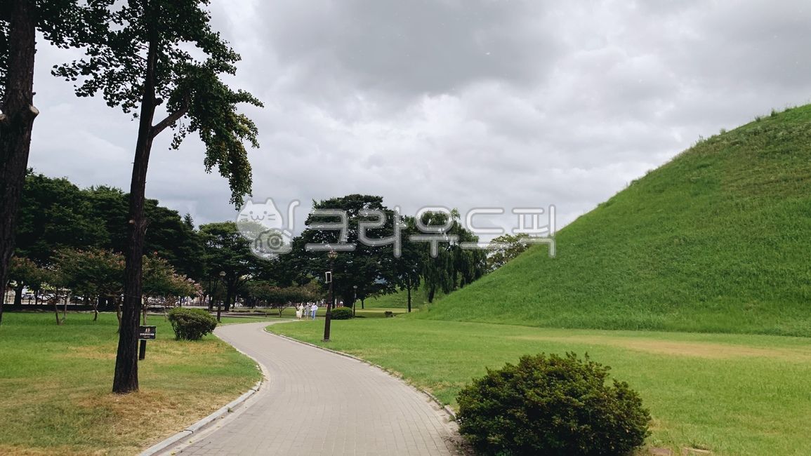 경주,왕릉,국내관광지,대릉원,잔디밭