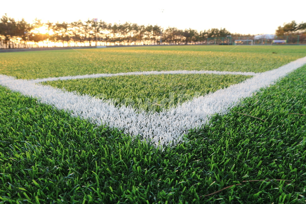 축구장,인조잔디,축구,운동장,축구공,잔디,field,스포츠,레저,운동,sports,leisure,exercise