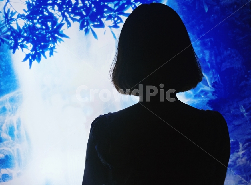 사람,뒷모습,단발,여자,그림자,사람,인물,인간,human,person,여성,여자,woman,female,lady,인물실루엣,사람실루엣,character silhouette,human silhouette,clothing,의류,apparel,의복,hood,후드
