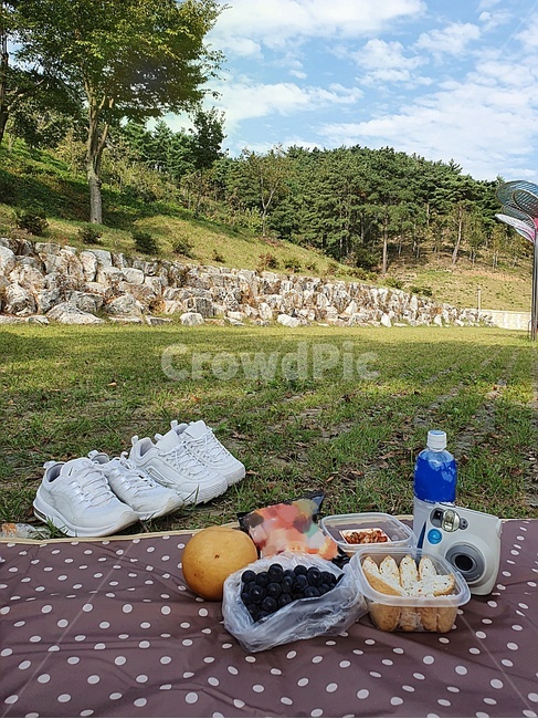 meal,식사,food,음식,vacation,피크닉,소풍,나무,잔디,하늘,구름,돌담,picnic,공원,필름카메라